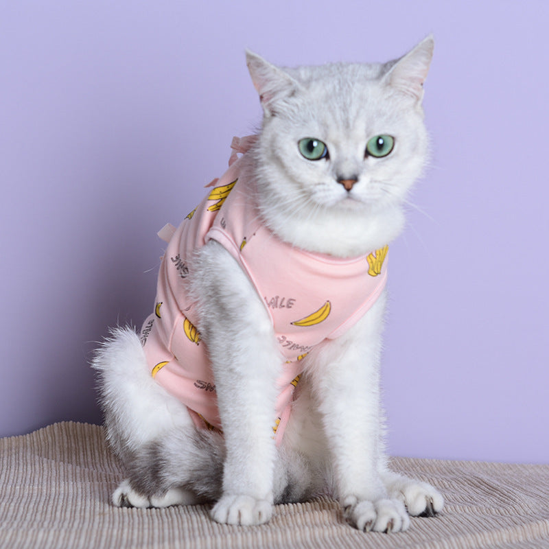 Clothes For Cats