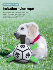 Dog Training Football