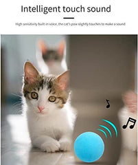 Play ball for the cat