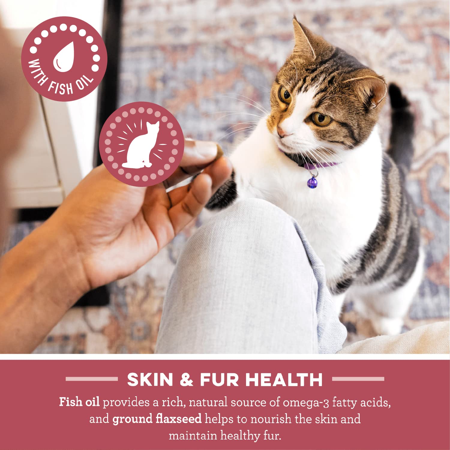 Cat Treats