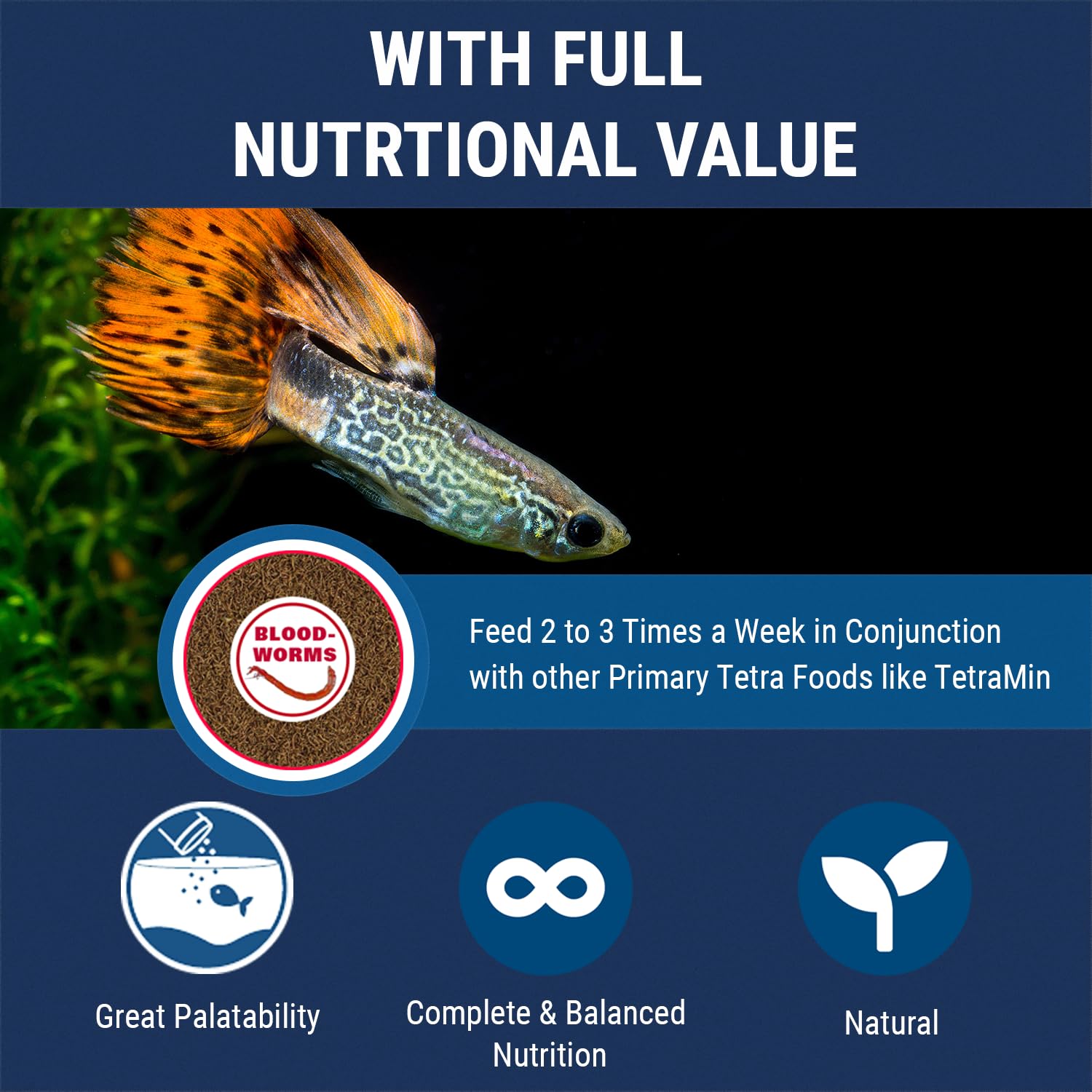 Tetra BloodWorms 0.25 Oz, Freeze-Dried Food for Freshwater and Saltwater Fish, Seafood (Pack of 1)
