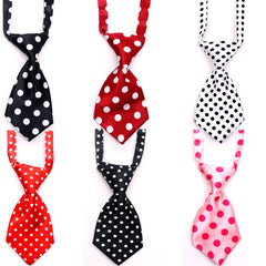 Pet tie