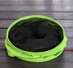 Cat Tunnel