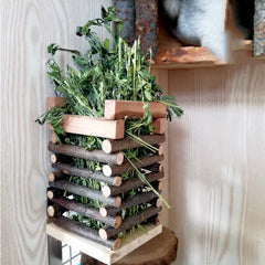 Rabbit feeding facility