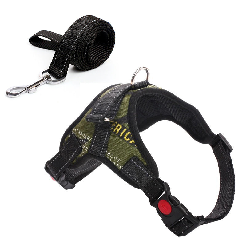 Leashes and collars