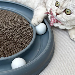 Cat Scratching Board