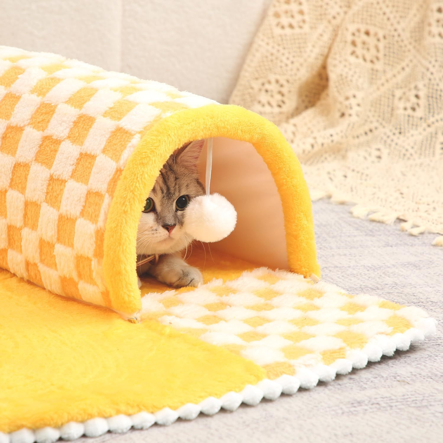 Cat Tunnel