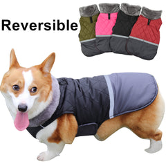 Warm coat for dogs