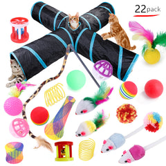 Cat Tunnel