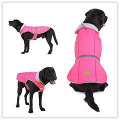 Pet clothes