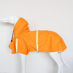 Raincoat for dogs