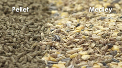 Kaytee Food from The Wild Natural Pet Guinea Pig Food, 4 Pound