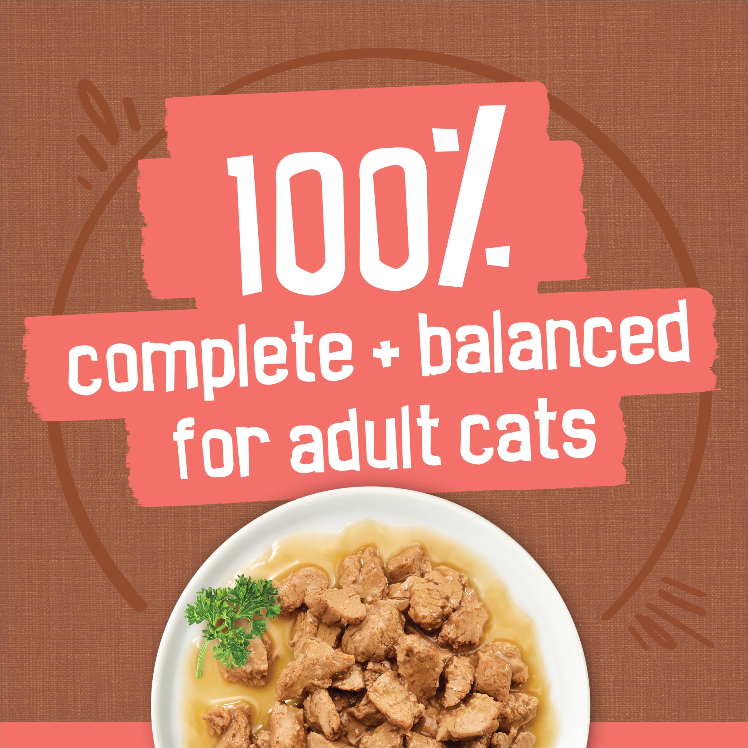 Purina Friskies Gravy Wet Cat Food Variety Pack, Extra Gravy Chunky - (Pack of 24) 5.5 oz. Cans