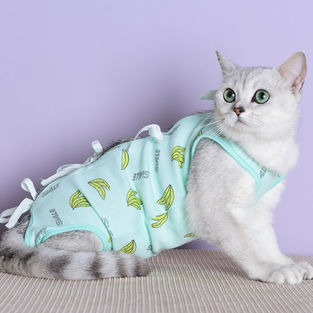 Clothes For Cats