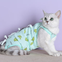 Clothes For Cats