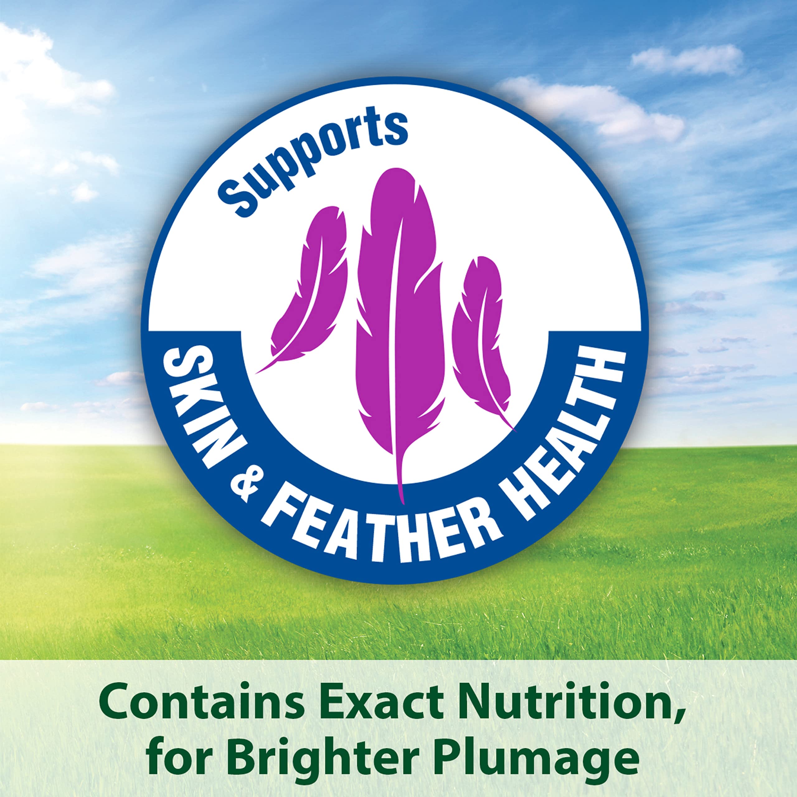 Kaytee Forti-Diet Pro Health With Safflower Pet Parrot Food, 4 lb