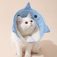 Soft collar for a cat