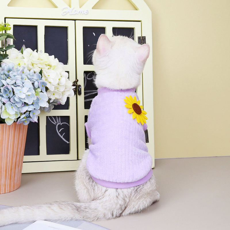Clothes For Cats