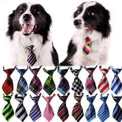 Pet tie