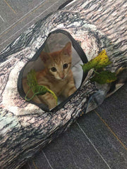 Cat tunnel