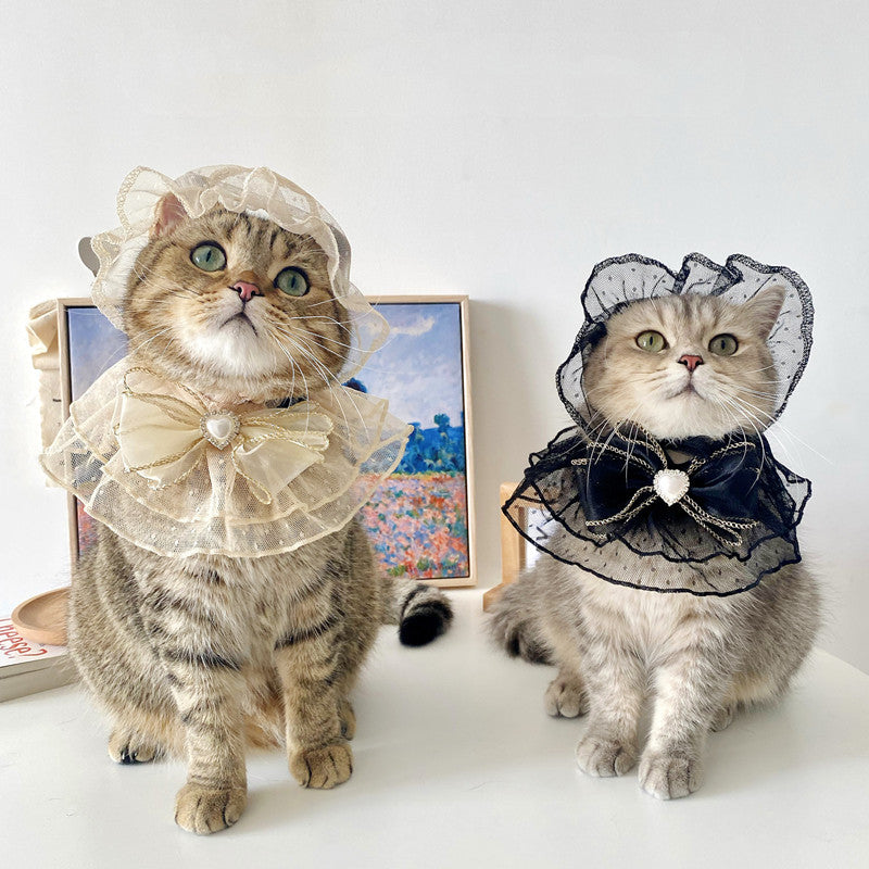 Clothes for cats