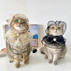 Clothes for cats
