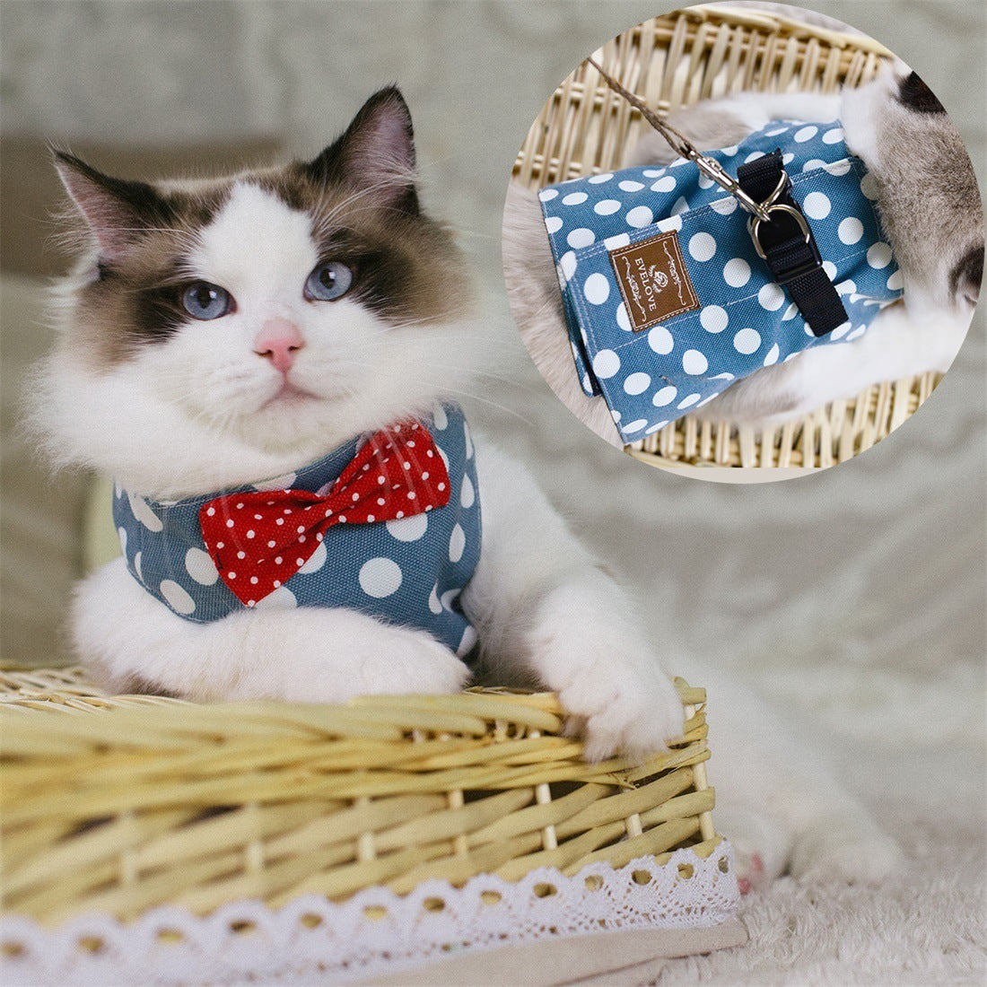 Cat Chest Strap