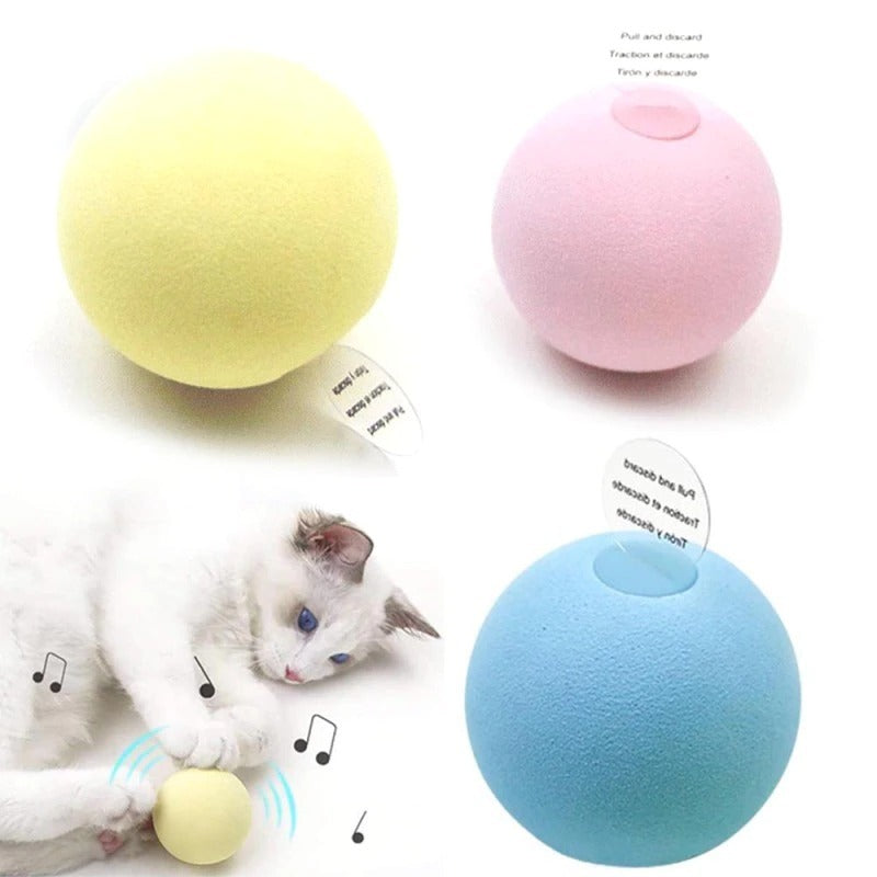Play ball for the cat