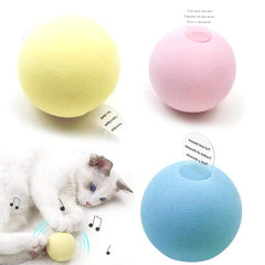 Play ball for the cat