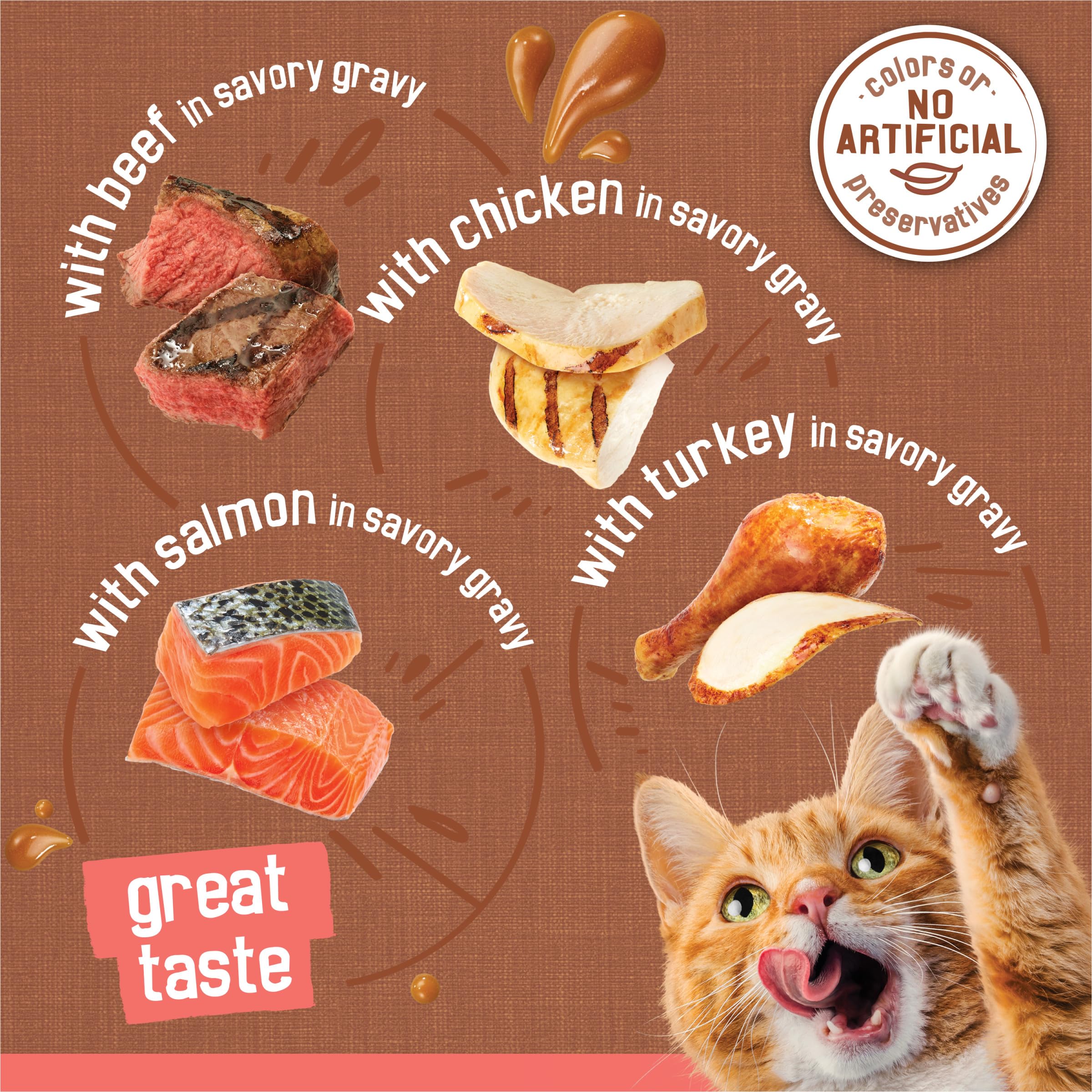 Purina Friskies Gravy Wet Cat Food Variety Pack, Extra Gravy Chunky - (Pack of 24) 5.5 oz. Cans