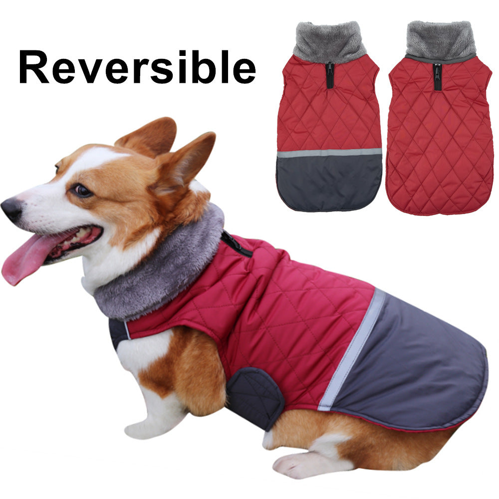 Warm coat for dogs