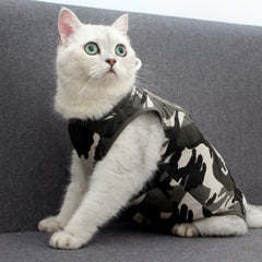 Clothes for cats