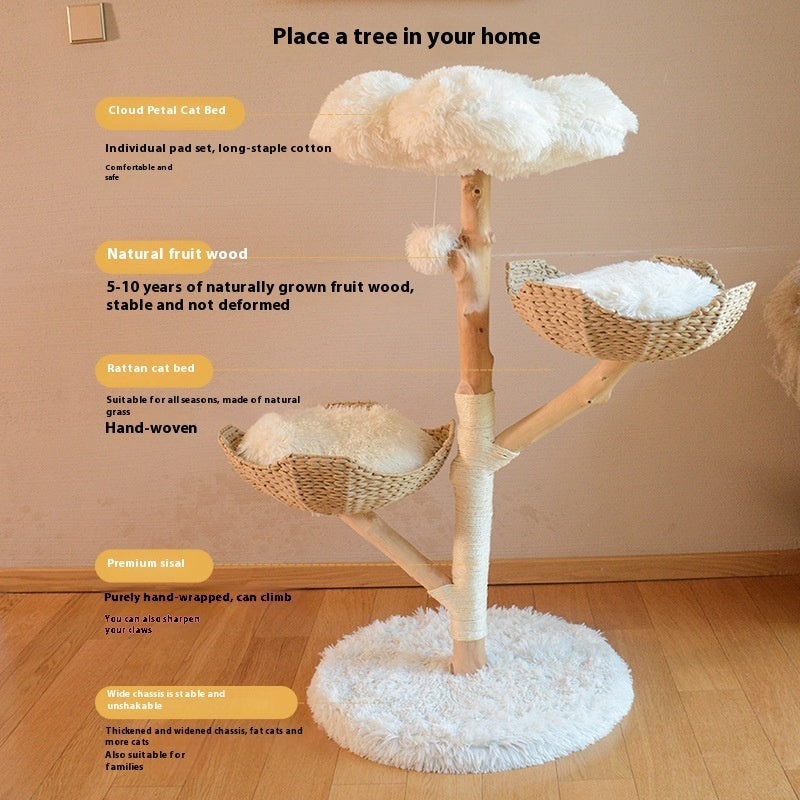 Climbing frame for cats