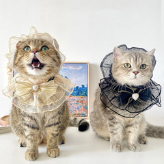 Clothes for cats