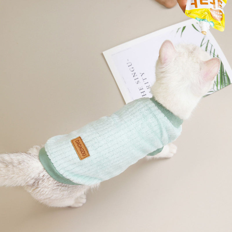 Clothes For Cats