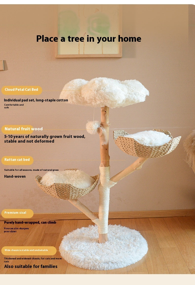 Climbing frame for cats