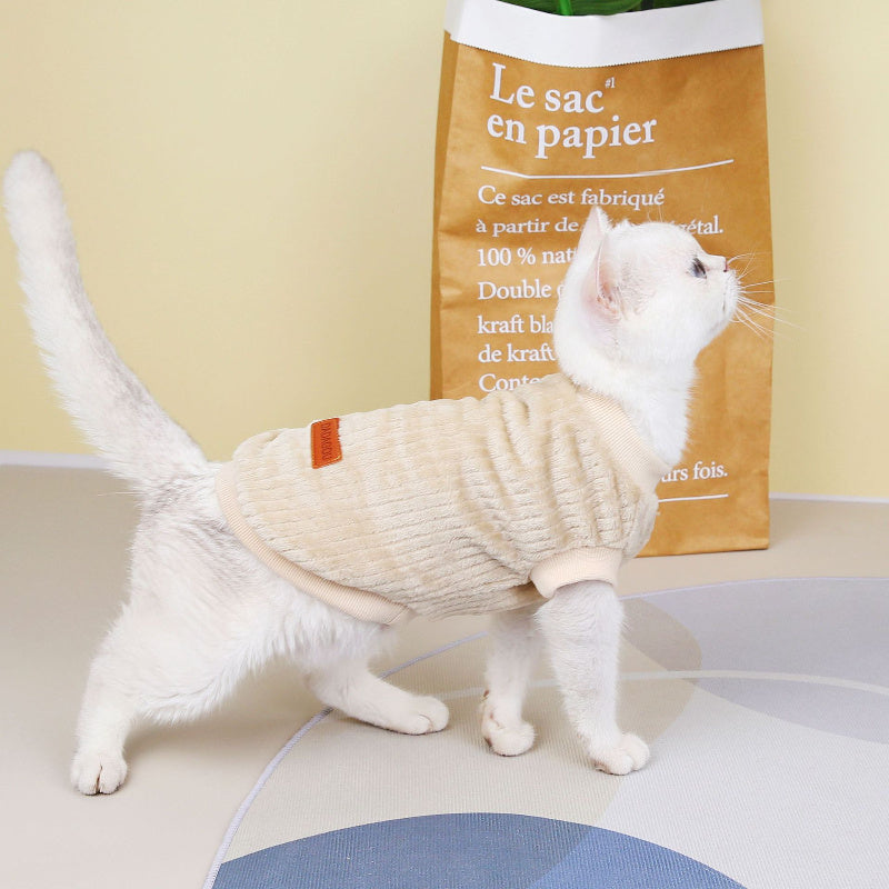 Clothes For Cats