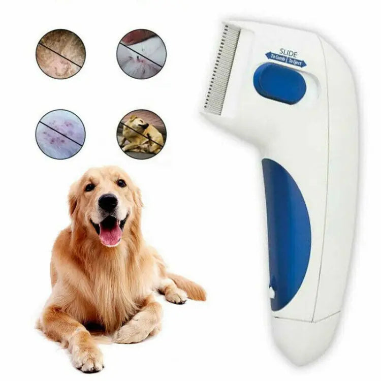 Pet Cat Dog Electric Terminator Brush