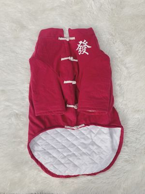 Festive Chinese Style