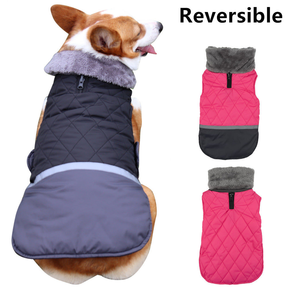 Warm coat for dogs