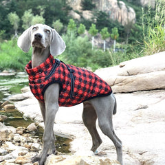 New Pet Reflective Cotton-padded Coat