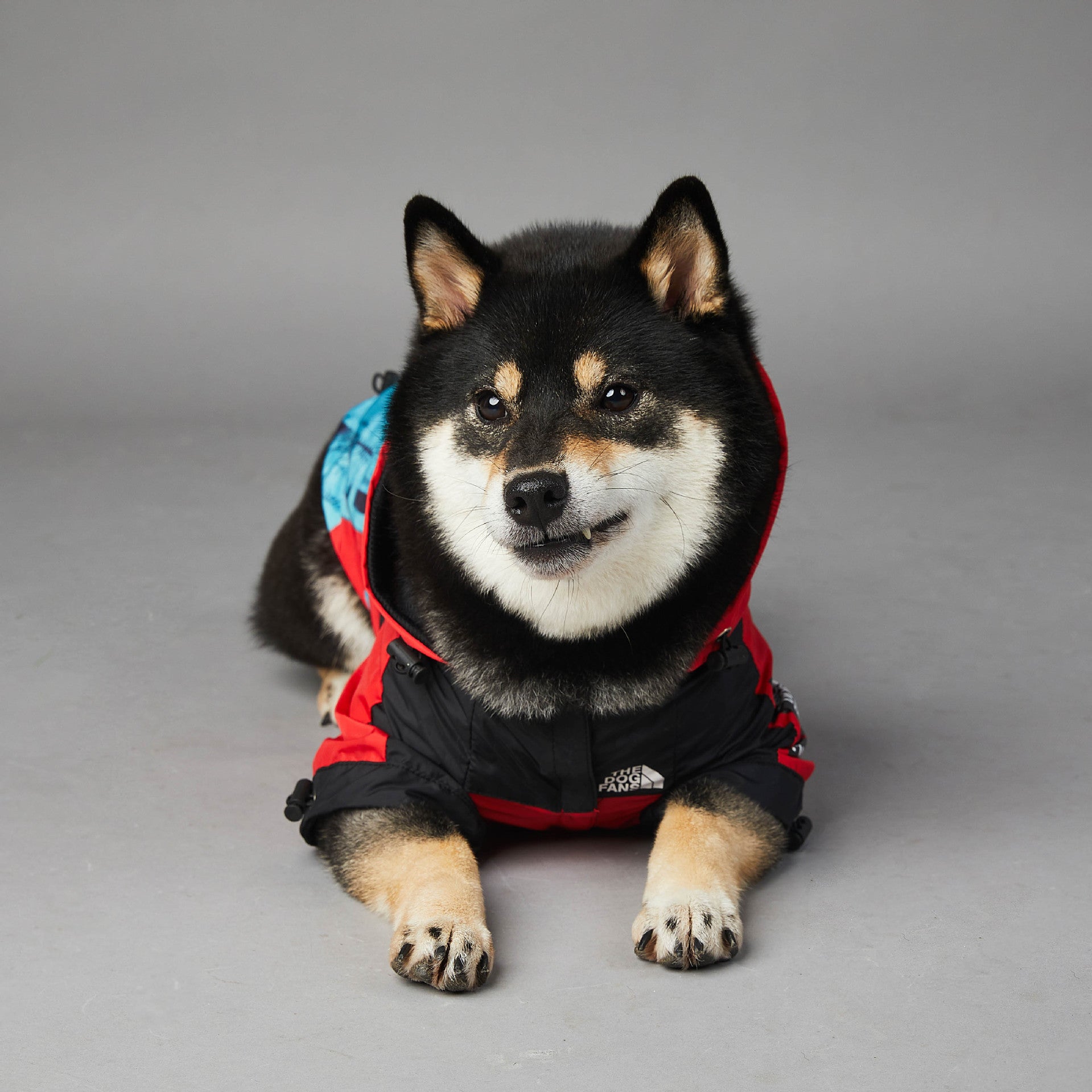 Pet Shell Jacket