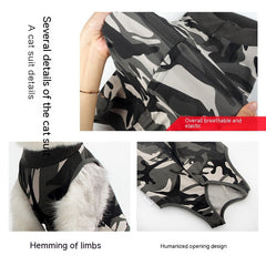 Clothes for cats