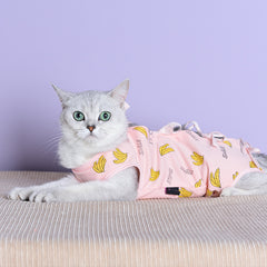 Clothes For Cats