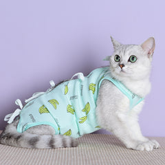 Clothes For Cats