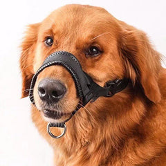 Mask Bark