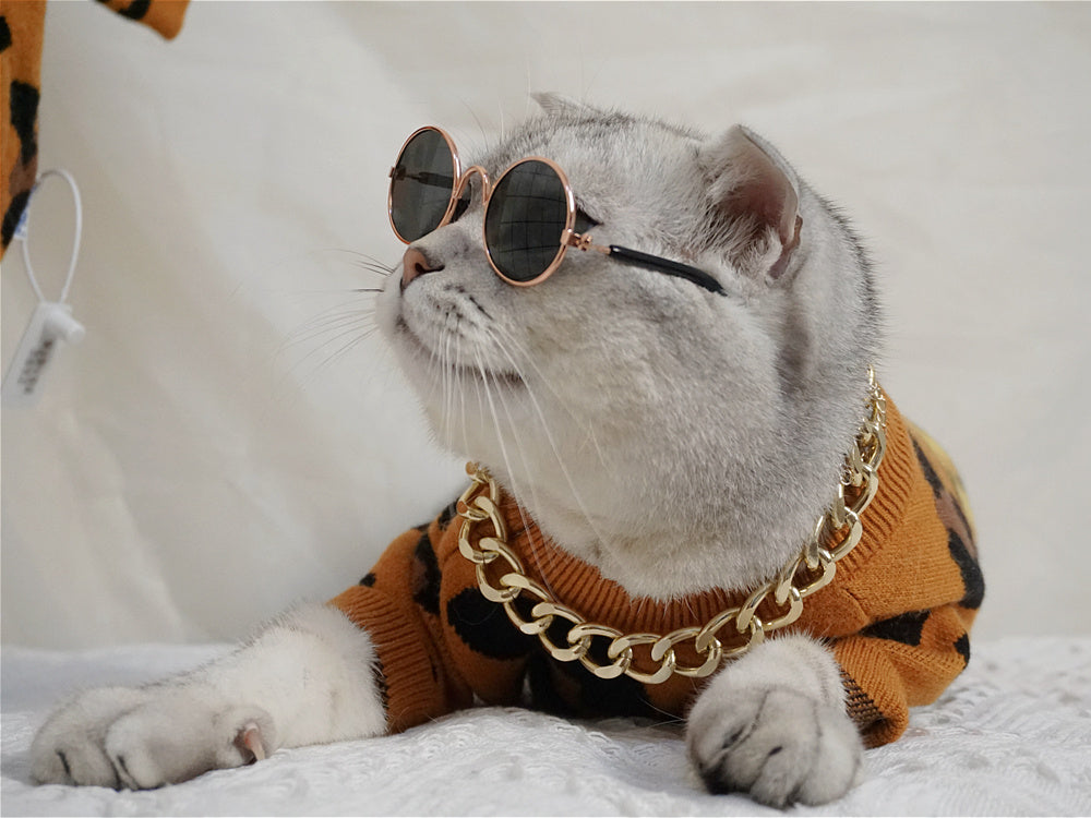 Clothes For Cats