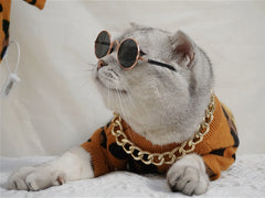 Clothes For Cats