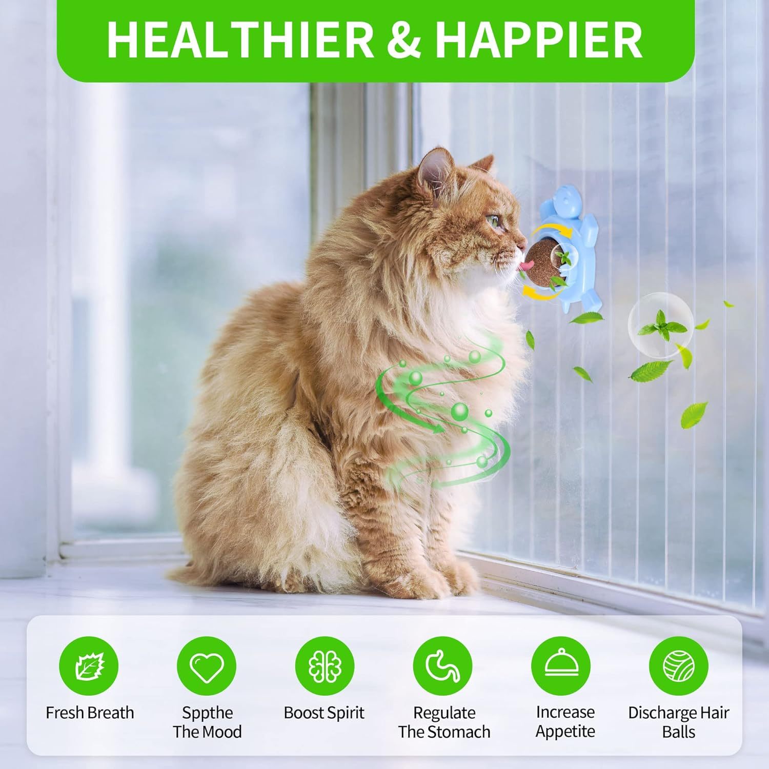 Catnip Balls For Cats