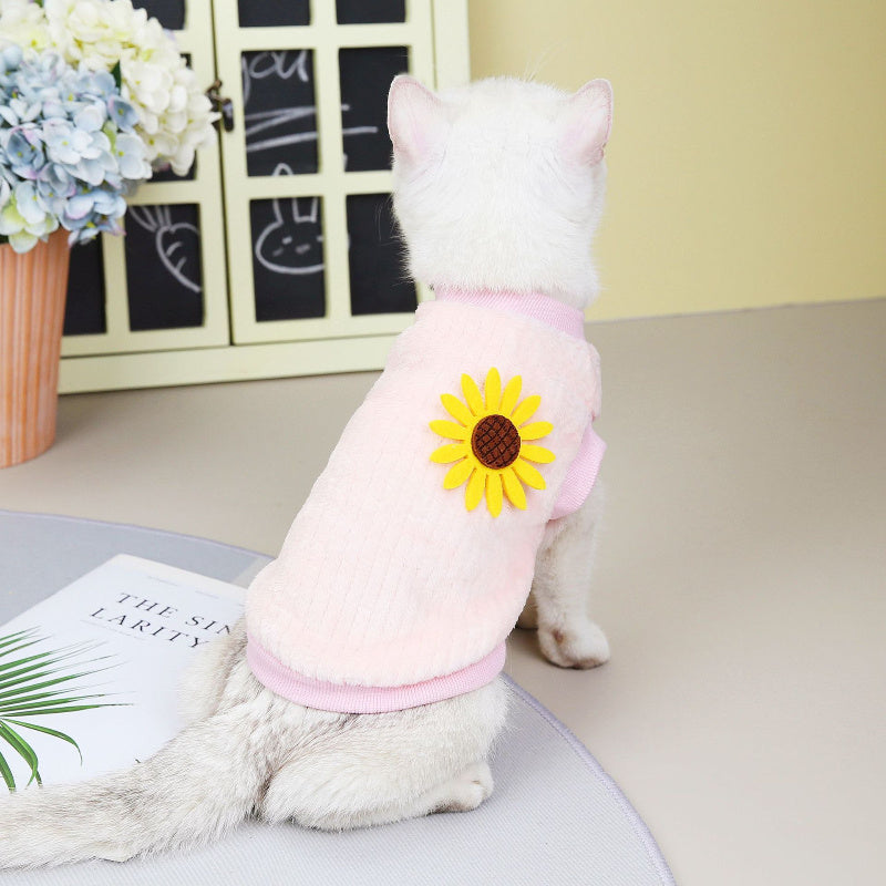 Clothes For Cats